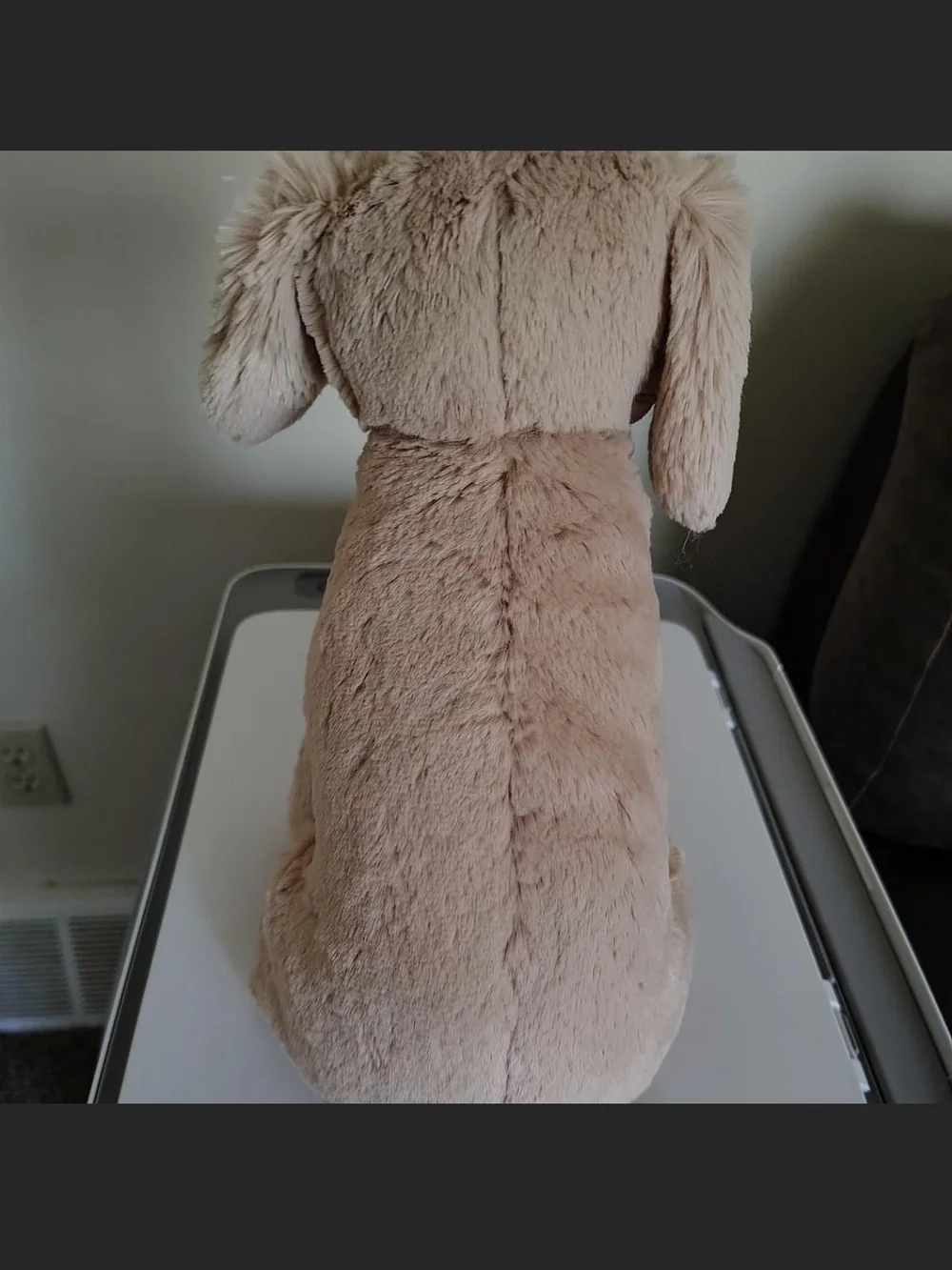 Jellycat Soft Beige Puppy Plush Dog Toy